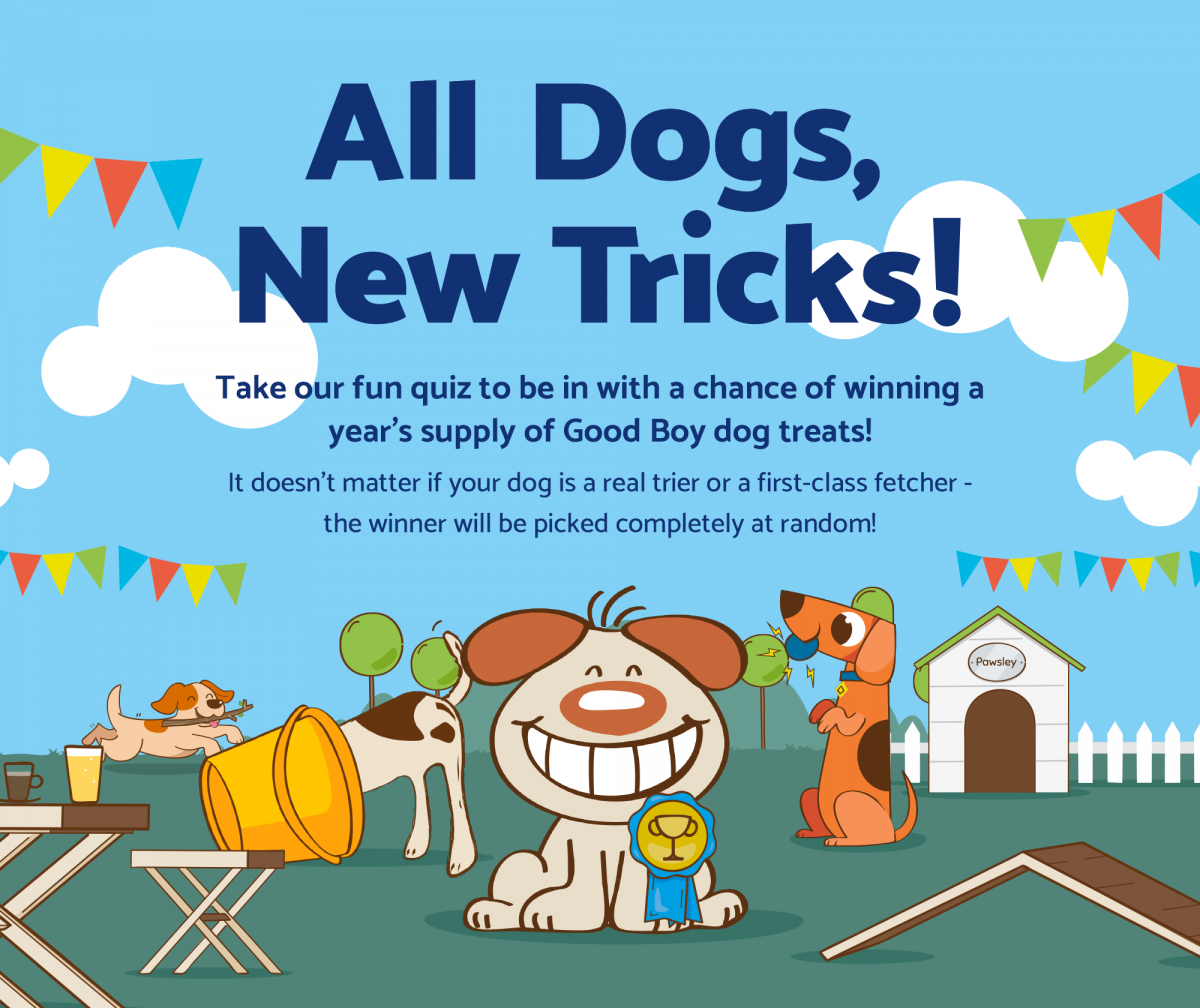 All Dogs, New Tricks!